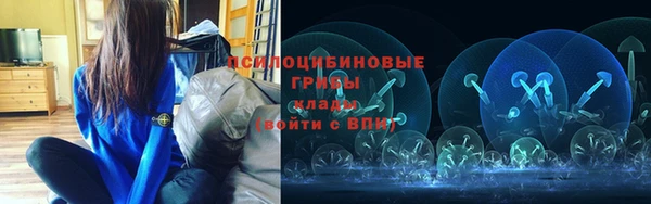 скорость Бородино