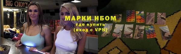 шишки Белокуриха