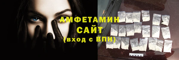 шишки Белокуриха