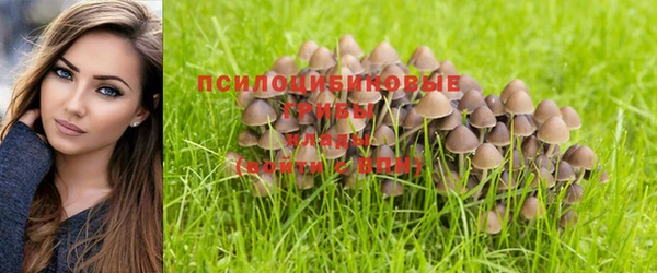 PSILOCYBIN Беломорск