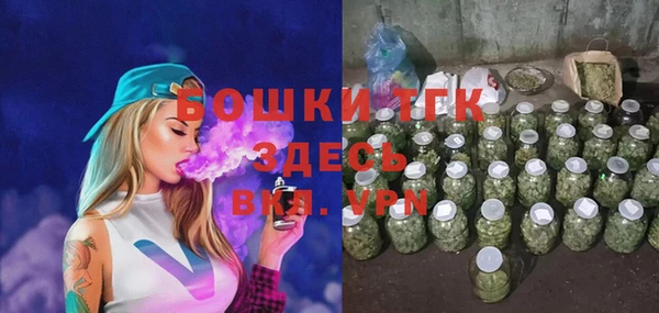 шишки Белокуриха